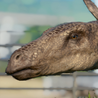 Kentrosaurus