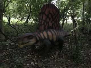 Dimetrodon