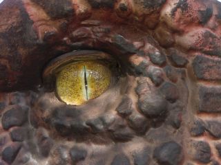 T-Rex szem