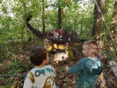 A fényképet készítette: Zsigmond Ugrai