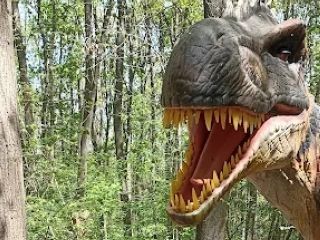 A fényképet készítette: Bruno B.