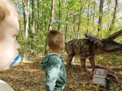 A fényképet készítette: Zsigmond Ugrai